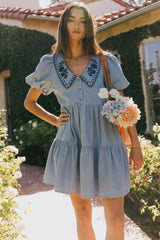 River Embroidered Mini Dress