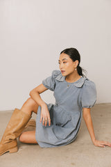 Archer Denim Mini Dress