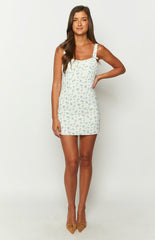 Bridgette Blue Floral Mini Dress